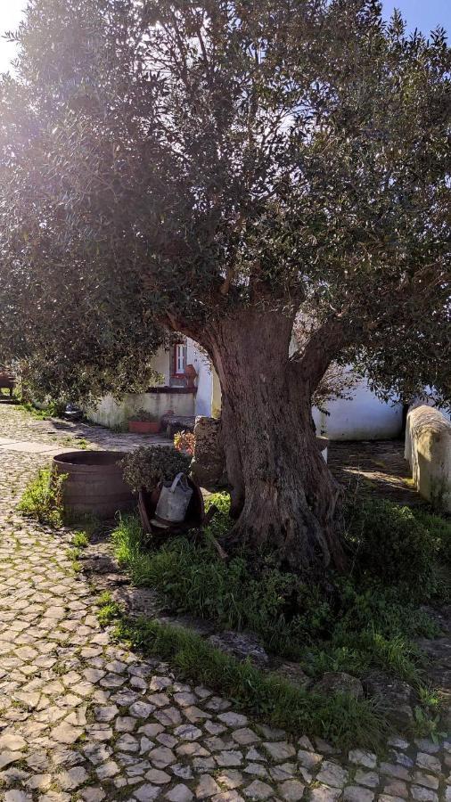 Ancos Little House -Sintra Countryside- Βίλα Montelavar Εξωτερικό φωτογραφία